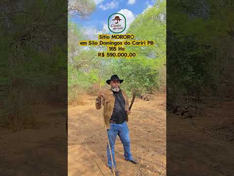 🌾 SÍTIO MORORO ÀS MARGENS DO RIO PARAÍBA – 165 HECTARES COM ÁGUA PERENE E POTENCIAL DE IRRIGAÇÃO 🌾