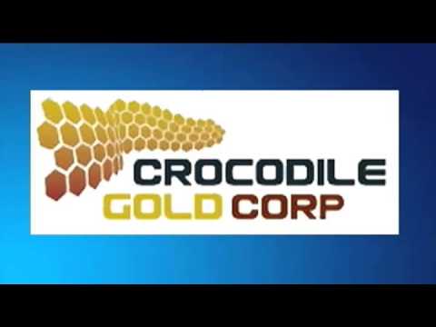 November 21st, 2012 Trade What You See with Larry Pesavento