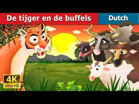 De tijger en de buffels | Tiger And Buffalo Story in Dutch | Dutch Fairy Tales