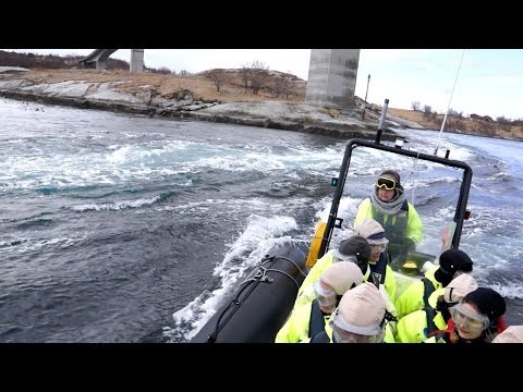 Saltstraumen - Gezeitenstrom in Bodø, Nordnorwegen