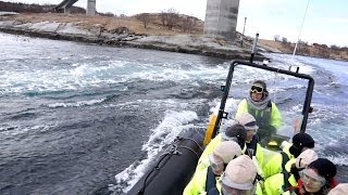preview picture of video 'Saltstraumen - Gezeitenstrom in Bodø, Nordnorwegen'