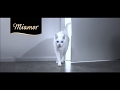 Miamor TV Spot