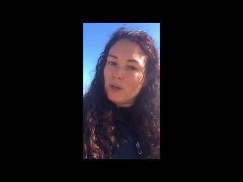 Video 1 Secret Animal Wisdom - Pelicans