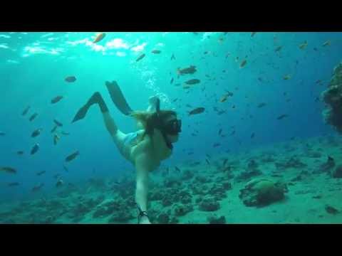 FREEDIVING - The Coral Reef - Eilat, Israel.