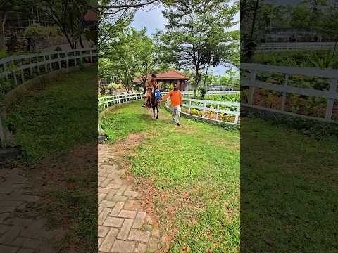 ngokngok lagi naik kuda🤣🤣🤣🤣