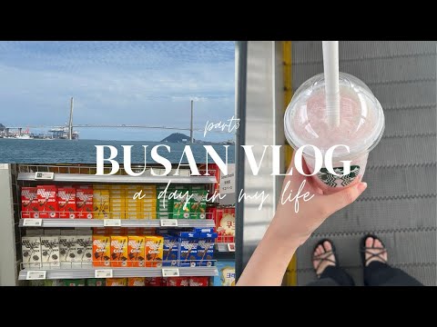 [Viagem em Busan] Vlog de viagem em Busan com minha mãe por 2 noites e 3 dias Dia 3: Mercado Kukje/Mercado Jagalchi/Lotte Mart/Starbucks Coreano/Besouro Rainha