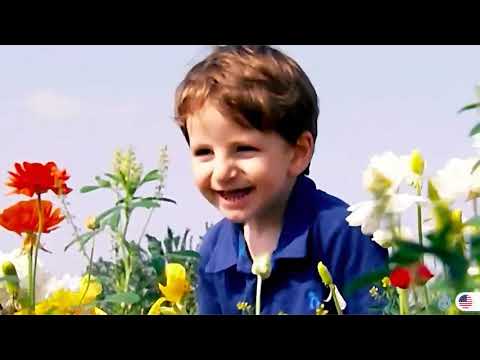 baby tv oliver discovers flowers english