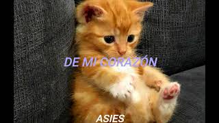 Download lagu Maricarmen Marin - Vete Nomas (Letra) (Español) mp3 Download lagu Maricarmen Marin - Vete Nomas (Letra) (Español) mp3