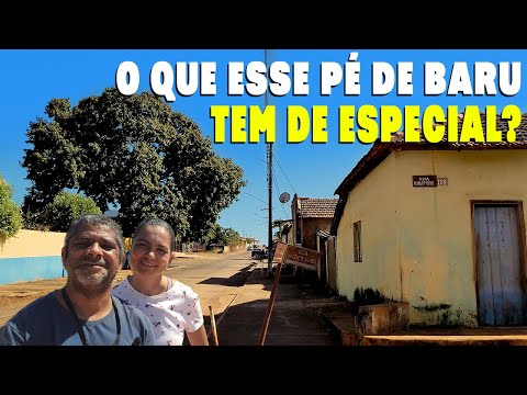 Você Sabia que Essa Cidade Nasceu ao Redor de Uma Árvore?