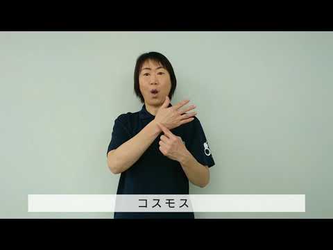 「コスモス」の日本手話の表し方