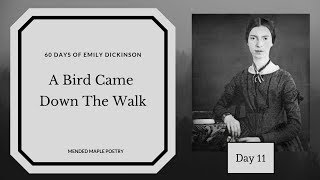 A Bird Came Down The Walk by Emily Dickinson-Poetry Reading