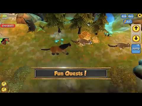 Horse Quest video