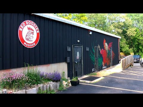 Madison bar loses liquor license after crash, plans to stay open ...