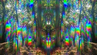 Saturday Woodland WooWoo – The Blessing of Life.