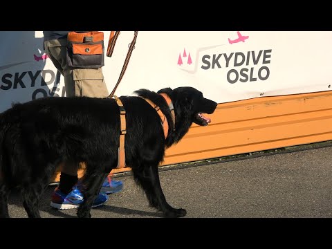 Days of Thunder! Week 33 at OFSK 2019