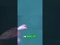 Surviving A Close Encounter With The Deadly Irukandji Jellyfish