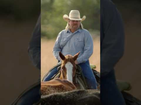 Cattle Dogs Do a Lot to Help Ranchers