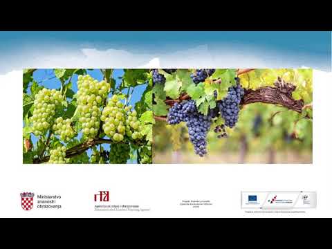 Srpski jezik i kultura, 5.r. OŠ - Vašar u Topoli, Dobrica Erić