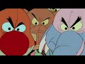 Winnie The Pooh Intro New Swedish Lyrics