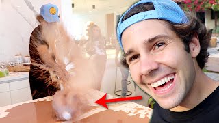 THIS DESTROYED MY LIVING ROOM!! (FREAKOUT)