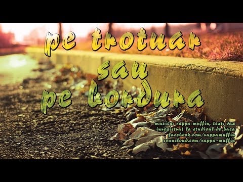 Rappa Muffin cu Vax - Pe trotuar sau pe bordura