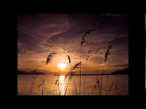 Zoran Jelenković - Cvit iz Kamena