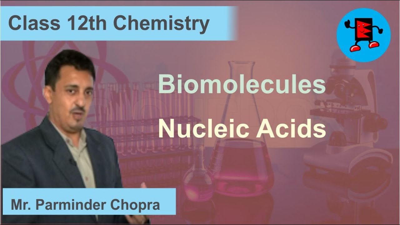 CBSE Class 12 Chemistry Biomolecules Nucleic Acids |Extraminds