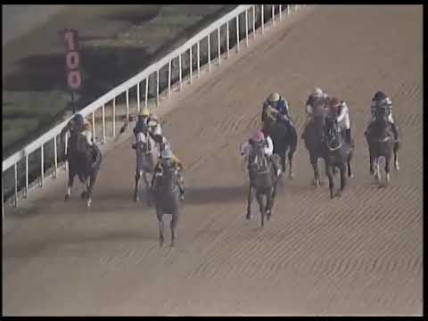 Macau Meeting Race 6(0144) - THE SUNDERLAND