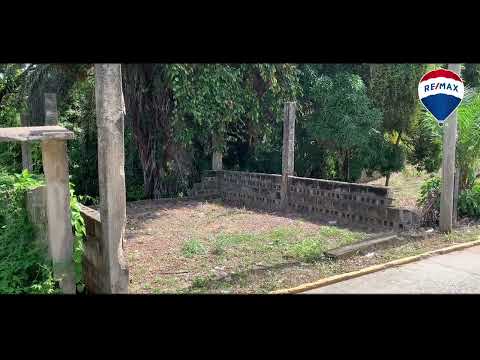img-video