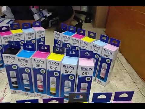 Epson Ink Cartridge
