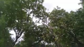 Download lagu Kaise Mile Aai Ho Marle Biya mai ho superhit song Sourabh Rajput actor mp3 Download lagu Kaise Mile Aai Ho Marle Biya mai ho superhit song Sourabh Rajput actor mp3