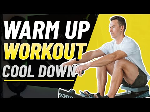 Complete Beginner Rowing Workout! ALL-IN-ONE Sweat!