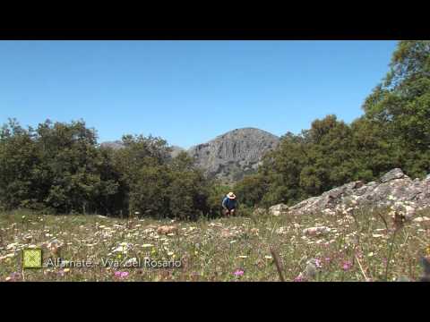 Gran Senda de Mlaga. Etapa 11: Alfarnate-Villanueva del Rosario