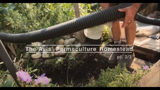 The Avis' Permaculture Homestead  //  pt. 2