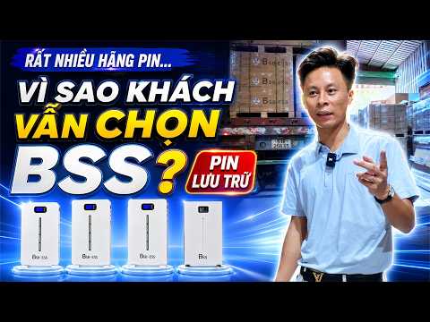 Thị Trường Rất Nhiều Hãng Pin, Vì Sao Khách Vẫn Chọn BSS ?