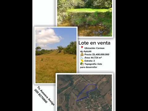 CARMEN DE APICALÁ LOTE PARA DESARROLLAR