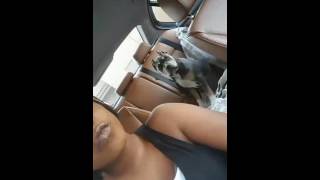 Happy Birthday Dayla