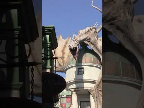 Fire breathing dragon at Diagon Alley 🔥🐉