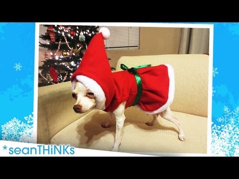 The Christmas UNICORN! Holiday Updates from the Cannell Family - November 26, 2012