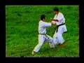 Bunkai Do Tekki Shodan