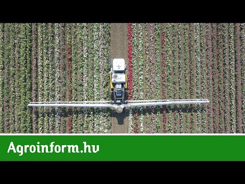 Mazzotti IBIS önjáró permetezőgép, ami 10 hektár rózsaföldön dolgozik – Ezt látnod kell!