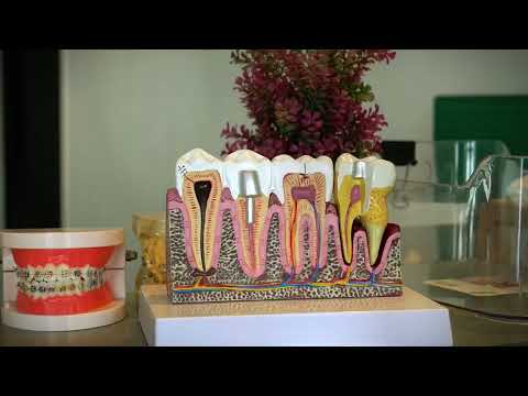 DELL DENTAL CLINIC INTRO