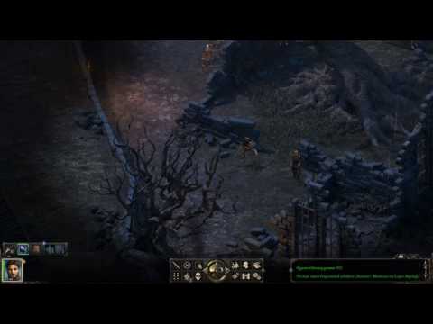 Pillars of Eternity Deutsch in HD Teil 5
