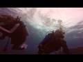 Bermuda Diving Three Sisters Reef 8-11-14 Part 1