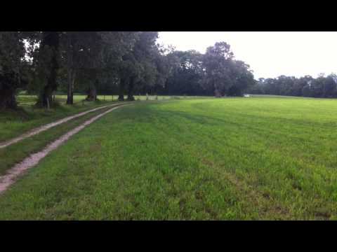 Citroen DS Break on Swiss country road