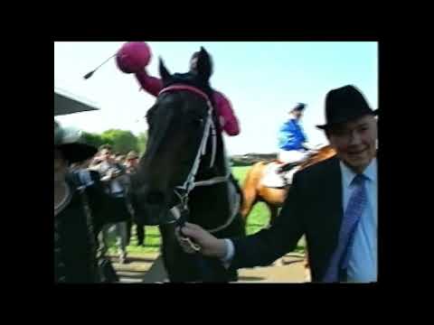 Octagonal - "The Peoples Champion" - Trained by John Hawkes