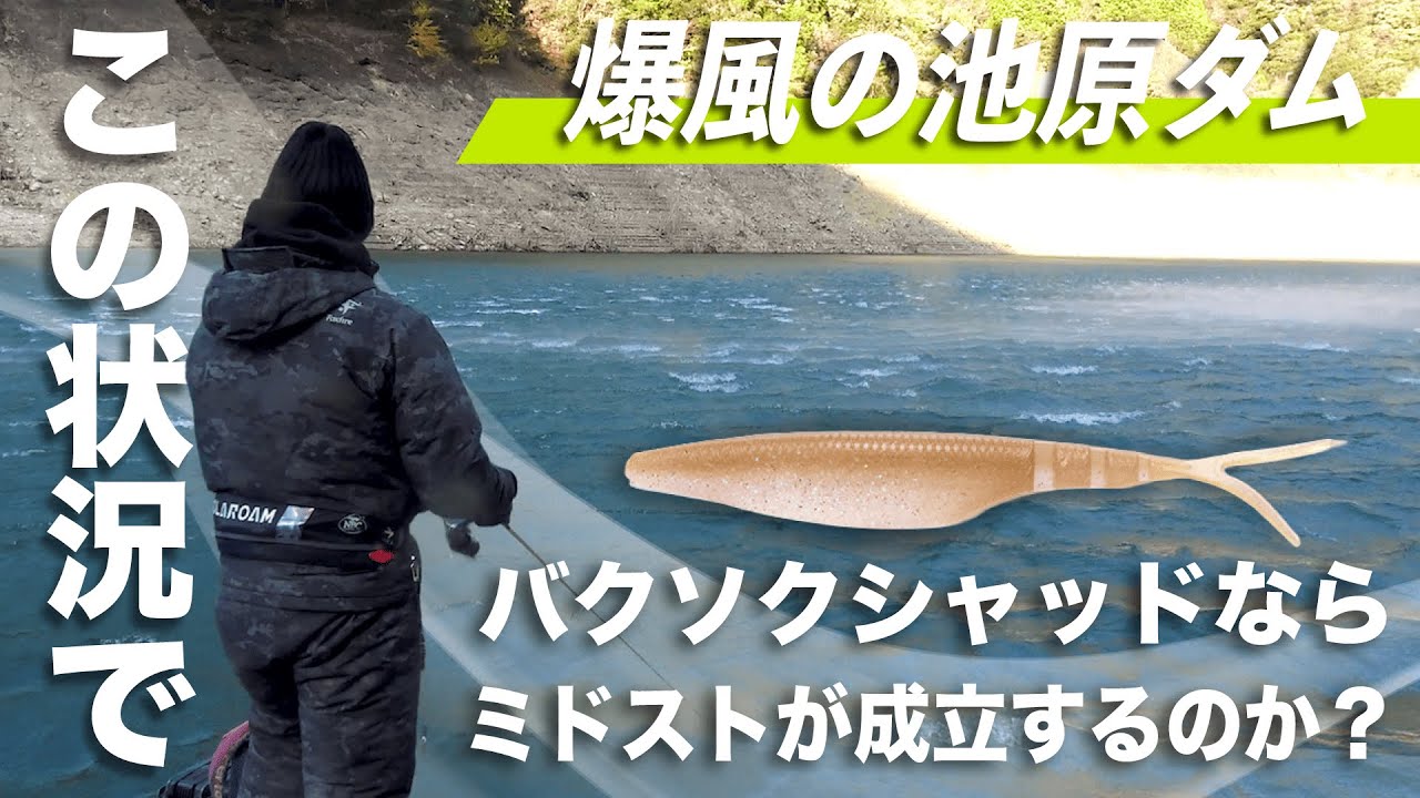 爆風極寒の池原ダムでもバクソクシャッドなら！【山岡計文】