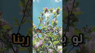 صورة جربي تلبسي الحجاب | د . حازم شومان