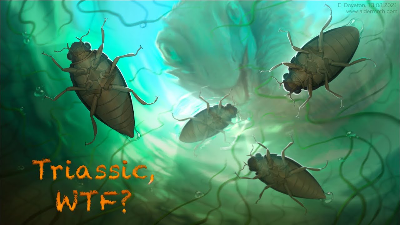 Triamyxa – The Butt-Borne Bog Beetle | Triassic, WTF?