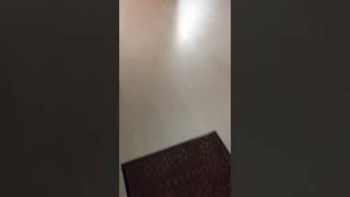 Сдам 1-комнатную квартиру в новостройке Сдам 1-комнатную квартиру в новостройке